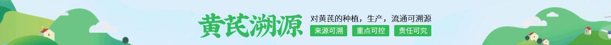 黄芪溯源